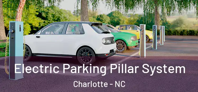 Electric Parking Pillar System Charlotte - NC
